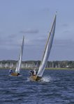 DSC03254